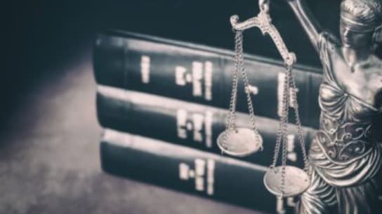 What to Expect in Securities Litigation & Enforcement