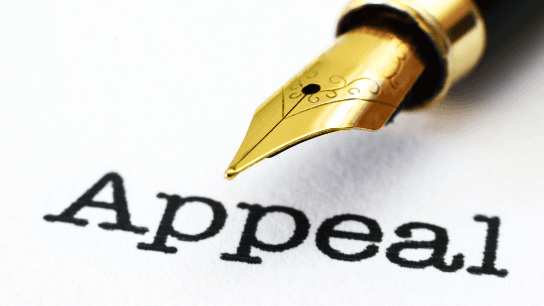 Appellate Advocacy:Advanced Strategies for Successful Appeal