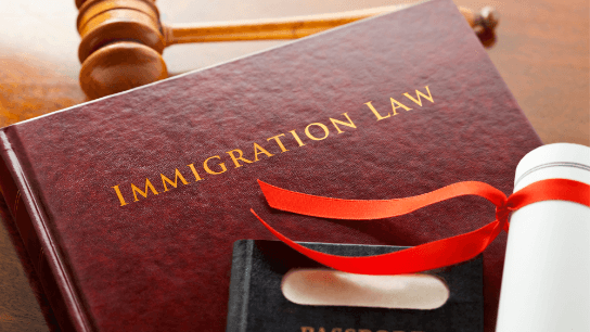 Immigration Law: Strategies, Challenges, and Advocacy