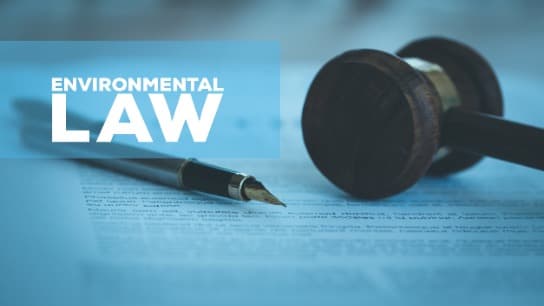 Toxic Torts and Environmental Law