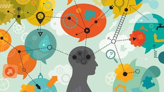 An Overview of the Processes and Systems of Human Memory