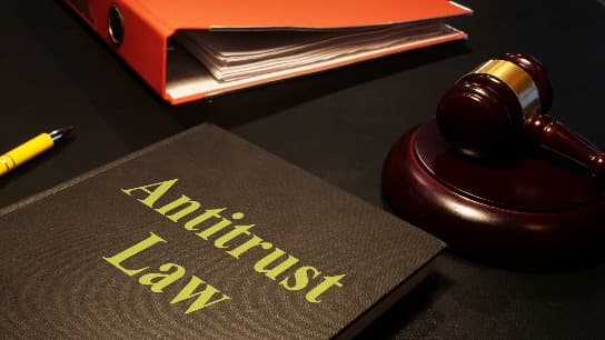Antitrust Enforcement