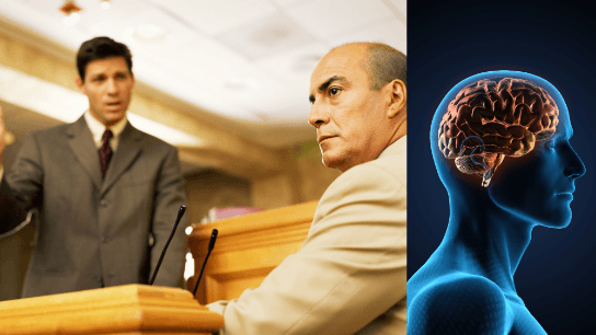 The Factors Impacting the Reliability of Eyewitnesses