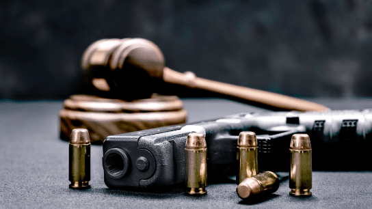 Through the Smoke Outline - Legal Trends and Gun Violence