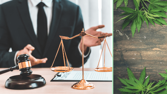 Legal Impact of Cannabis:  A Multi-Billion Dollar Industry