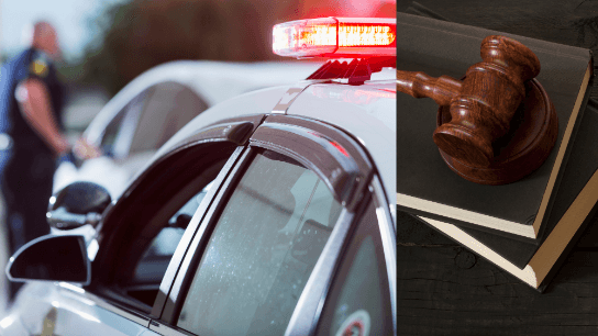 Good Cop Gone Bad: The Challenges of Section 1983