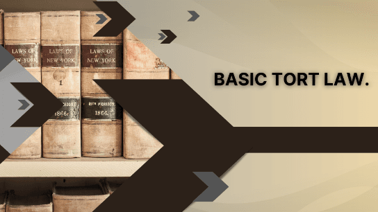 Basic Tort Law