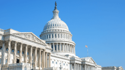 The Curious Lawyer: Flag Law