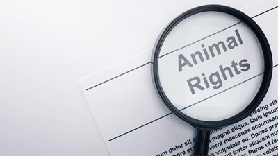 The Curious Lawyer: Zoo Law