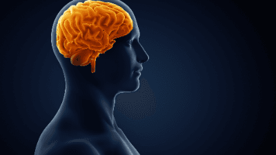 When the Hits Keep Coming: Late Effects of Brain Injury