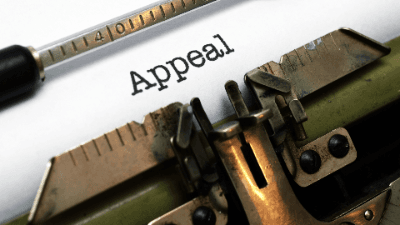 NYS Court of Appeals 2024 Round Up