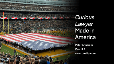 The Curious Lawyer: Made in America