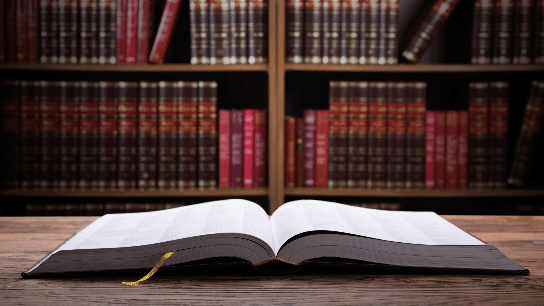 Representing Students in School Disciplinary Hearings