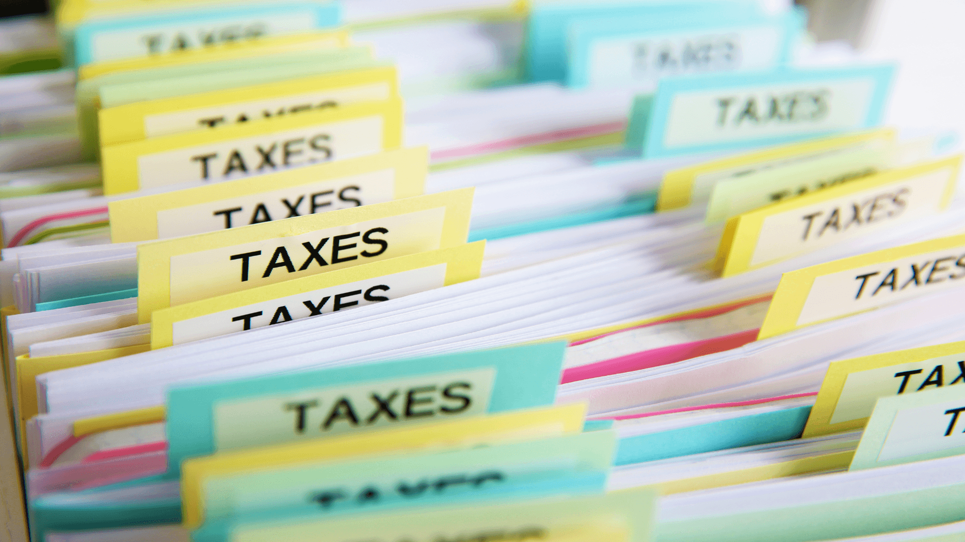 Small Business Foundations: Structure and Tax Compliance