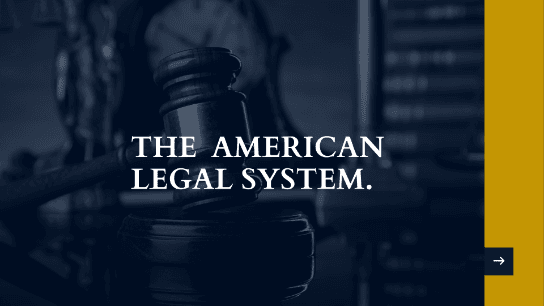The American Legal System